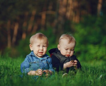 twin pram