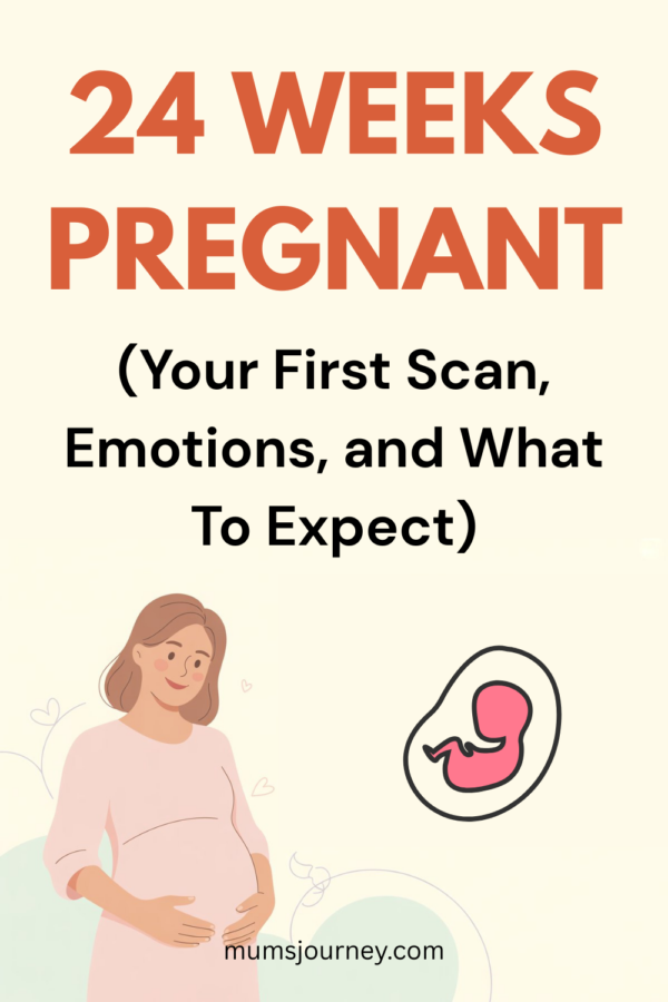 24 weeks pregnant belly, baby development, symptoms, and emotional changes